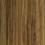 Olivo