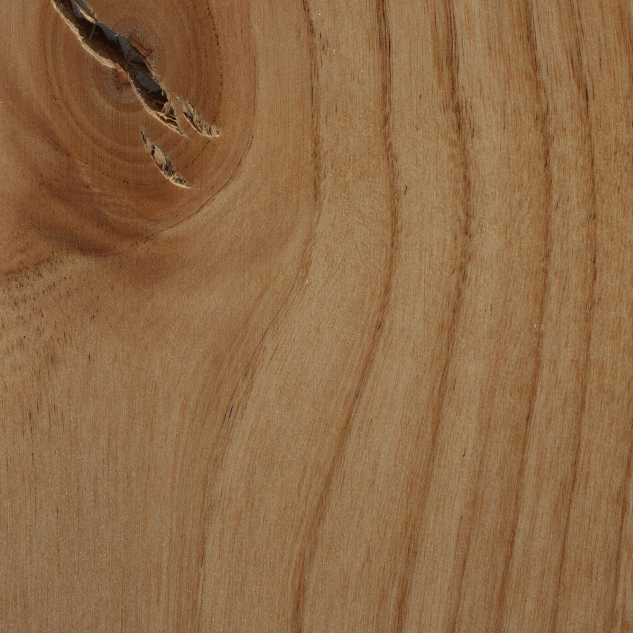 Alder Knotty