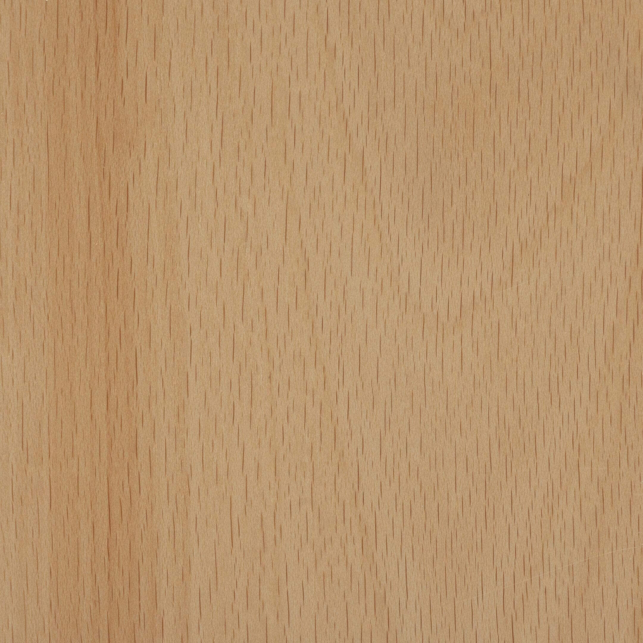 Beech Rustic
