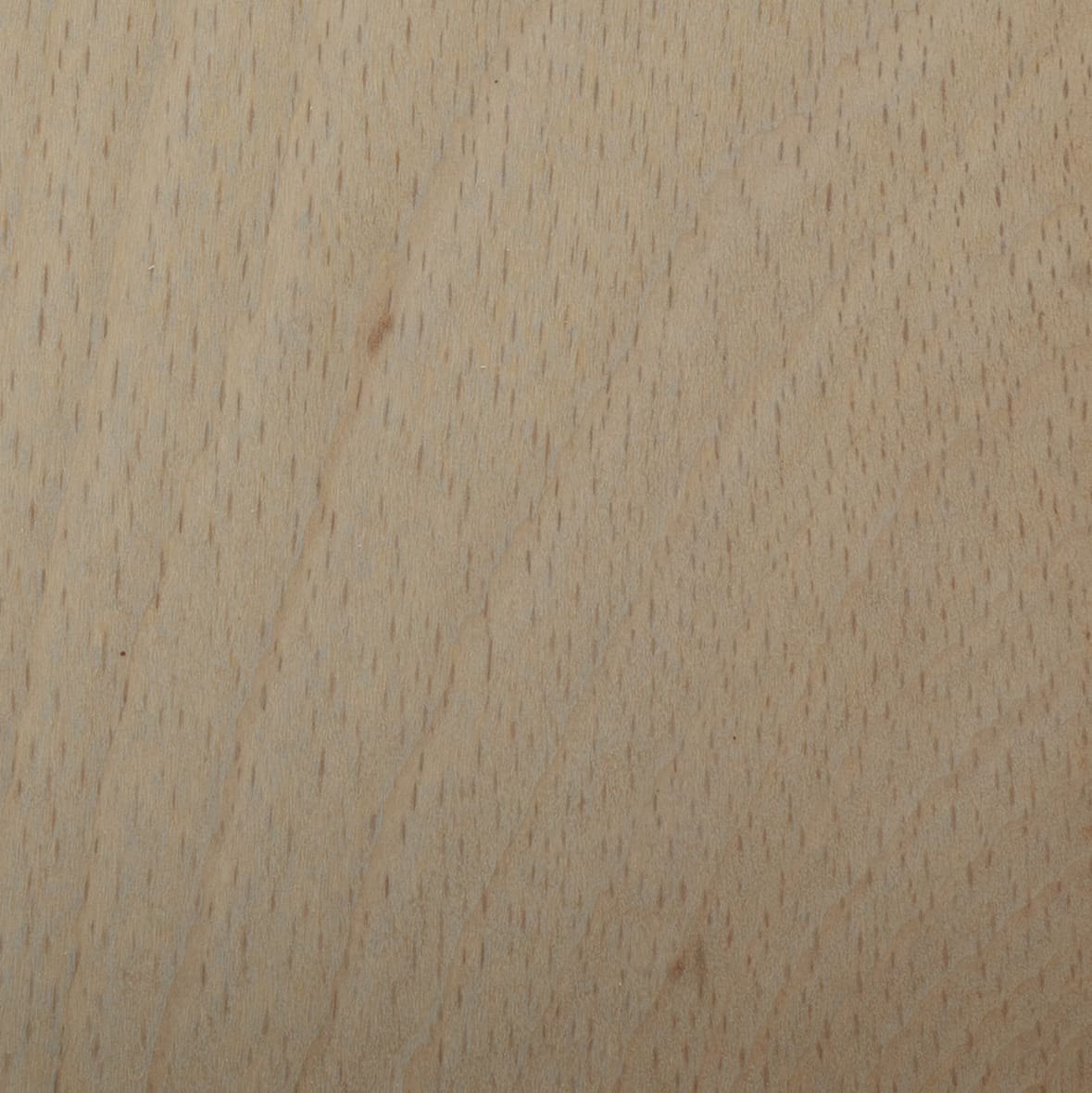 Sedona