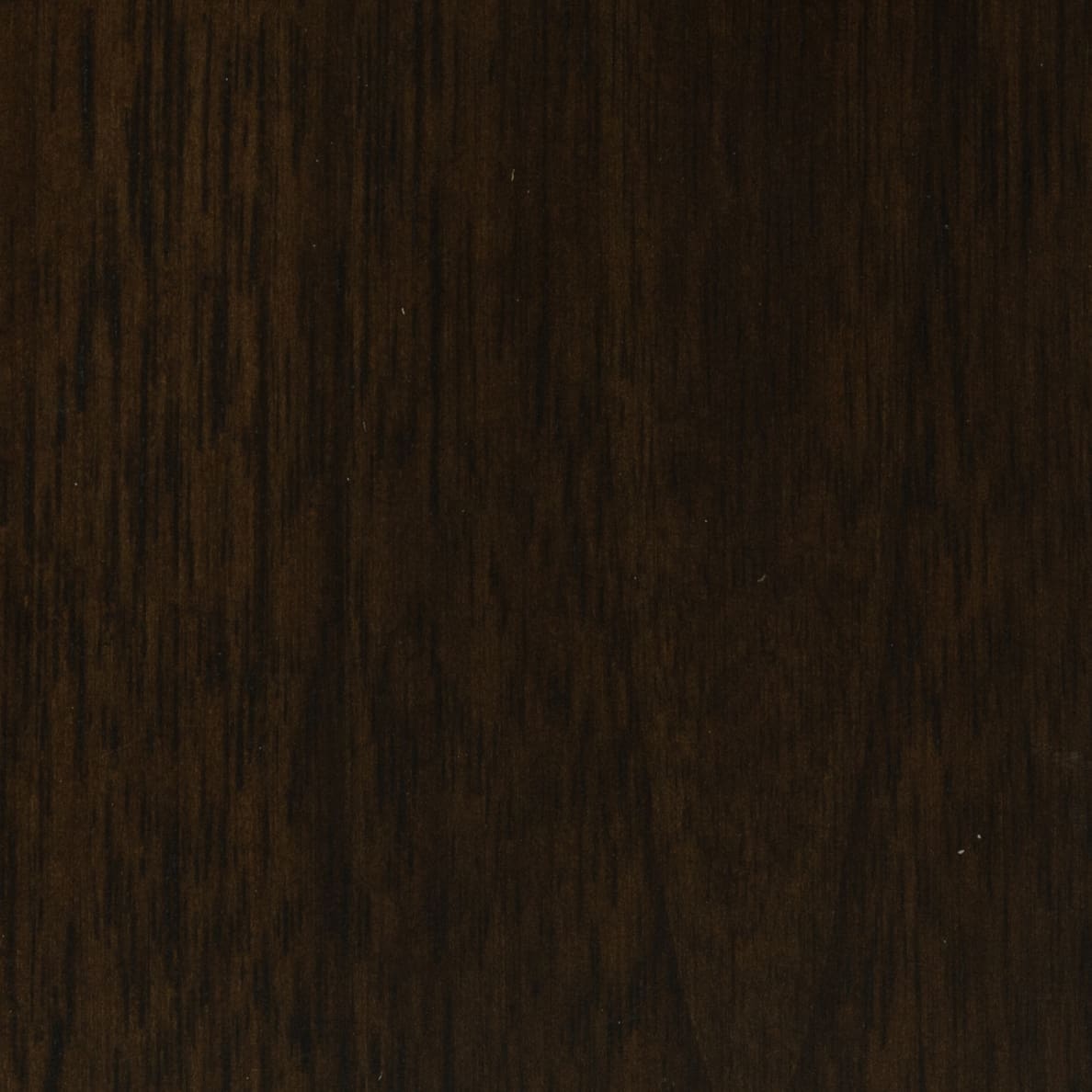 Walnut - Bailey